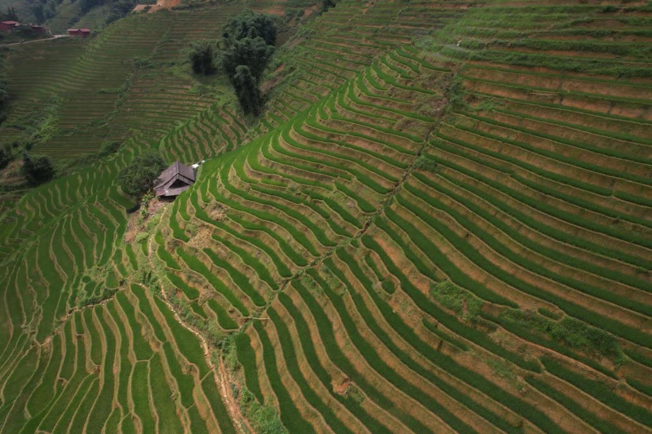 L'Auberge Des Amis Sapa المظهر الخارجي الصورة